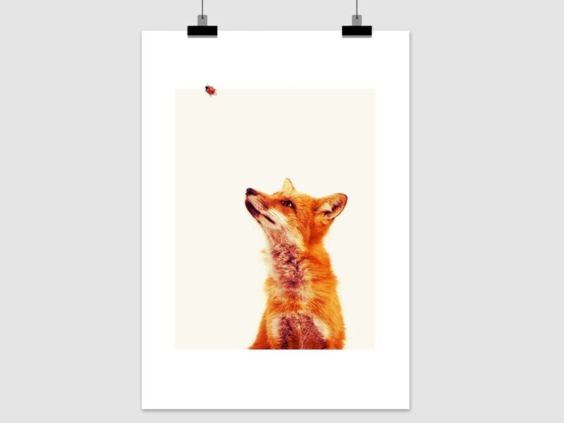 Fine Art Print Fuchs A4