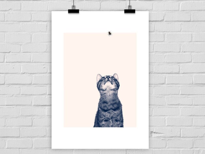Fine Art Print Fliege A4