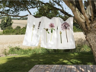 Geschirrtuch &quot;Phacelia&quot;