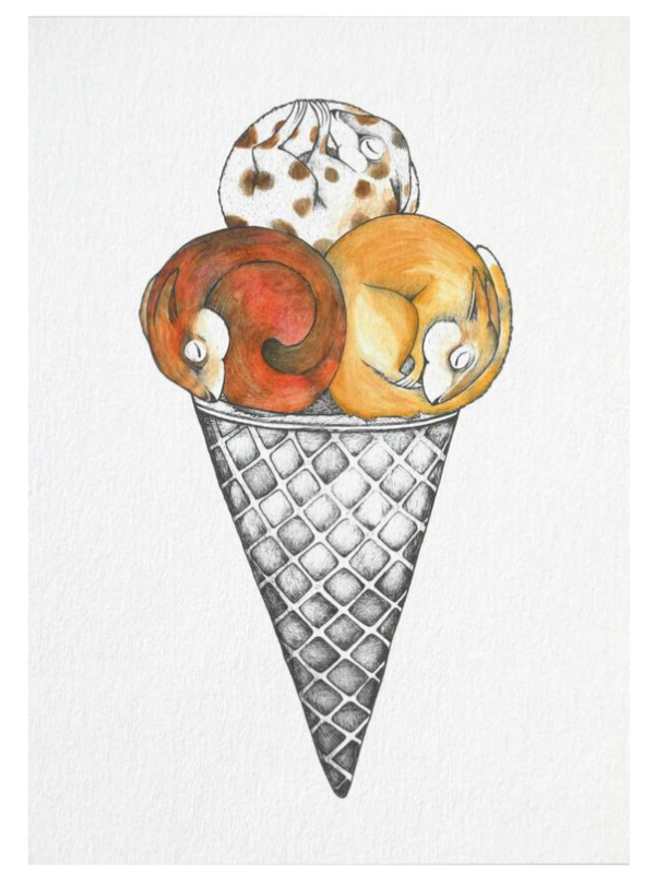 Postkarte Eis Körnchen