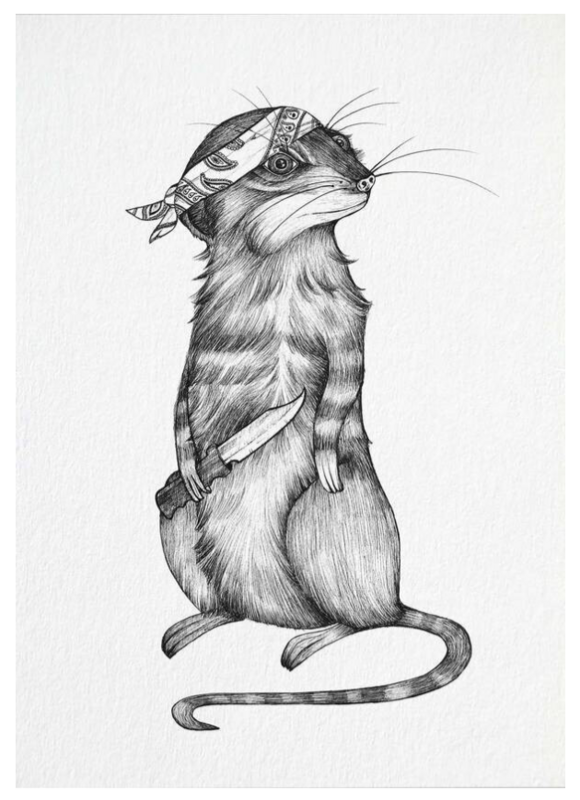 Postkarte Erdmännchen