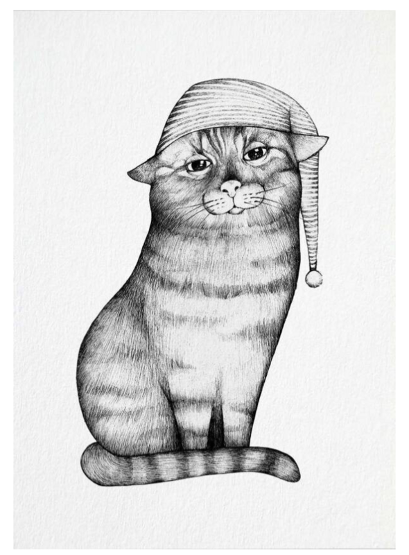 Postkarte Katze