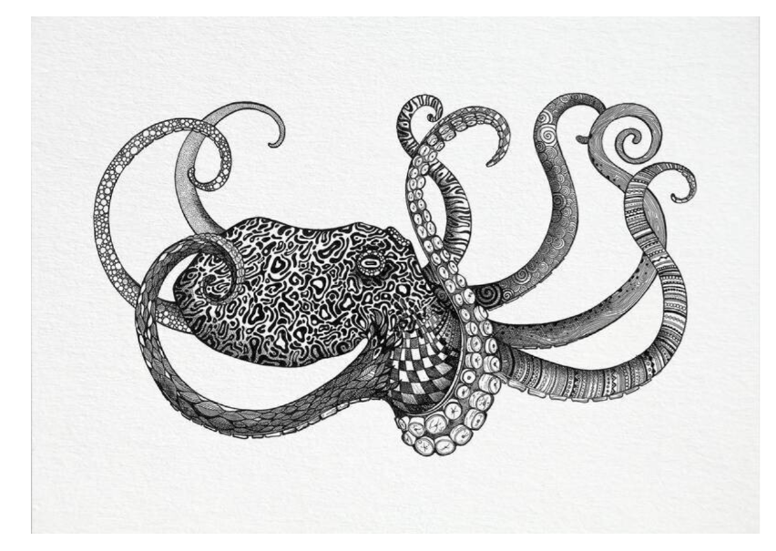 Postkarte Oktopus / Krake