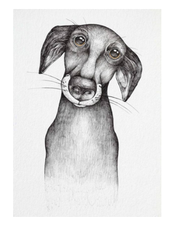 Postkarte Hund
