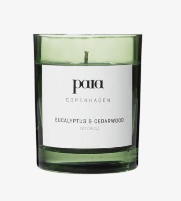 Paia Duftkerze Eucalyptus &amp; Cedarwood