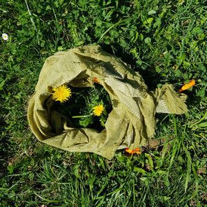 Sommer Schal Baumwolle