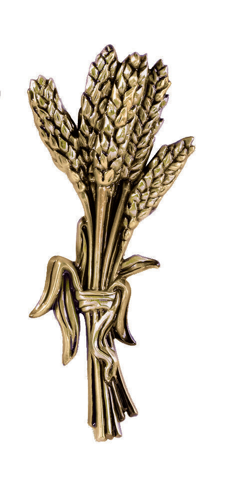 Bouquet d'épis de blé h 15.5 x 10 cm