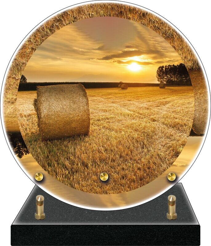 Plaque Altuglass DISQUE Champ