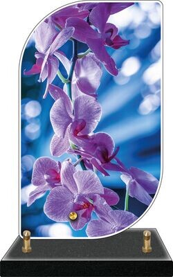 Plaque Altuglass FENETRE Orchidée