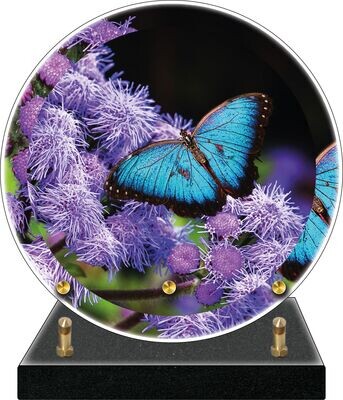 Plaque Altuglass DISQUE Papillon bleu