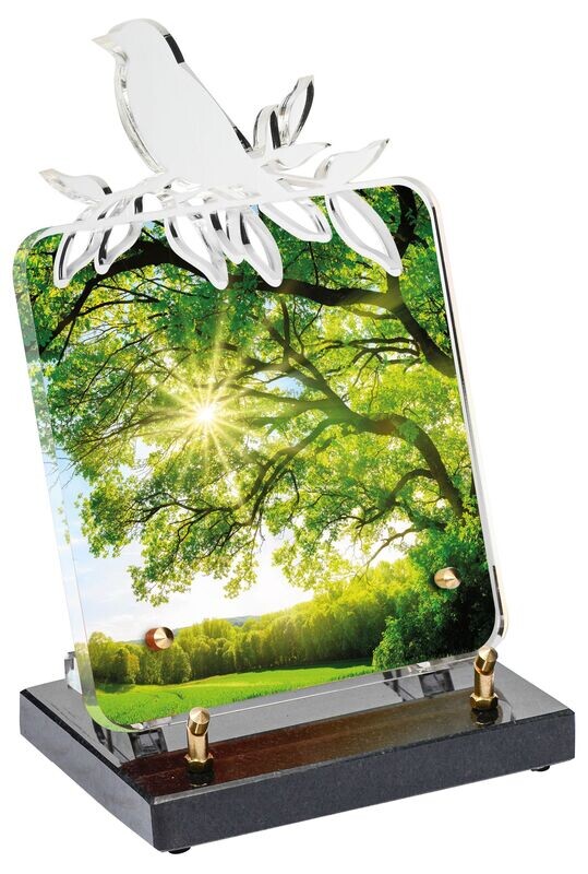 Plaque Altuglass BIRDY Arbre
