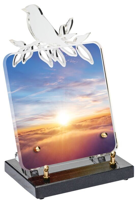 Plaque Altuglass BIRDY Ciel