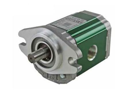 Hydraulic Gear Pump Vivolo Group 1 Sae Aa Mount, 1/2” Keyed Shaft Various Ccs.