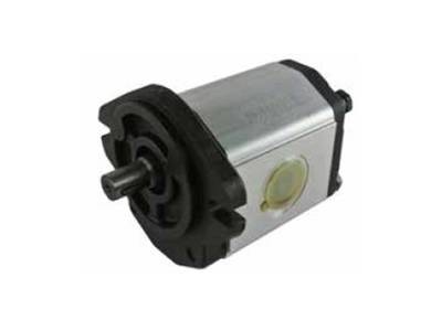 Hydraulic Gear Pump Group 2 Sae Mount, 5/8&quot; Keyed Shaft Various Cc&#39;s