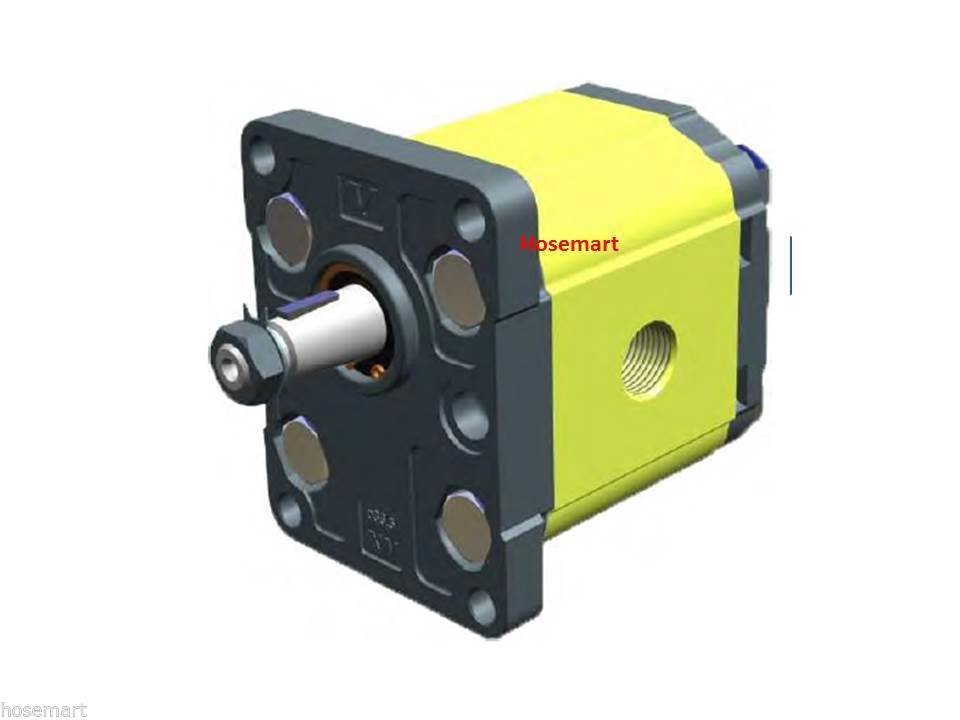Hydraulic Group 2 Gear Pump Vivolo Italy Galtech Cassapa 1:8 Tapered Shaft Various Cc's