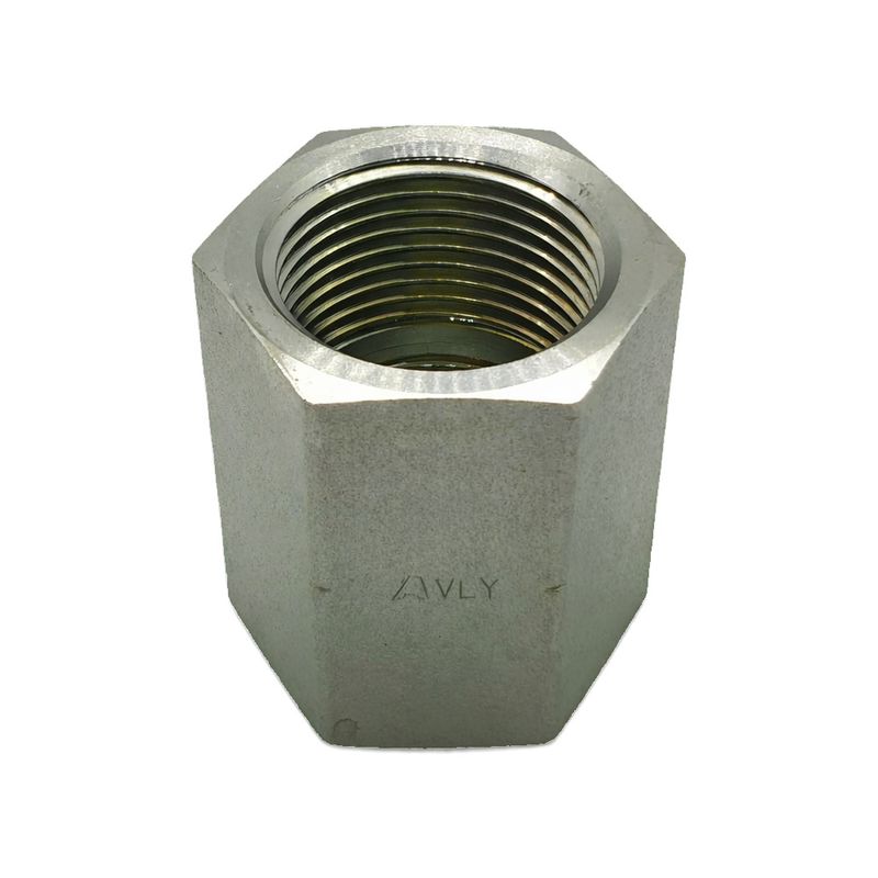 BSP Parallel Female x BSP Parallel Female Straight BPF-BPF-1212-4