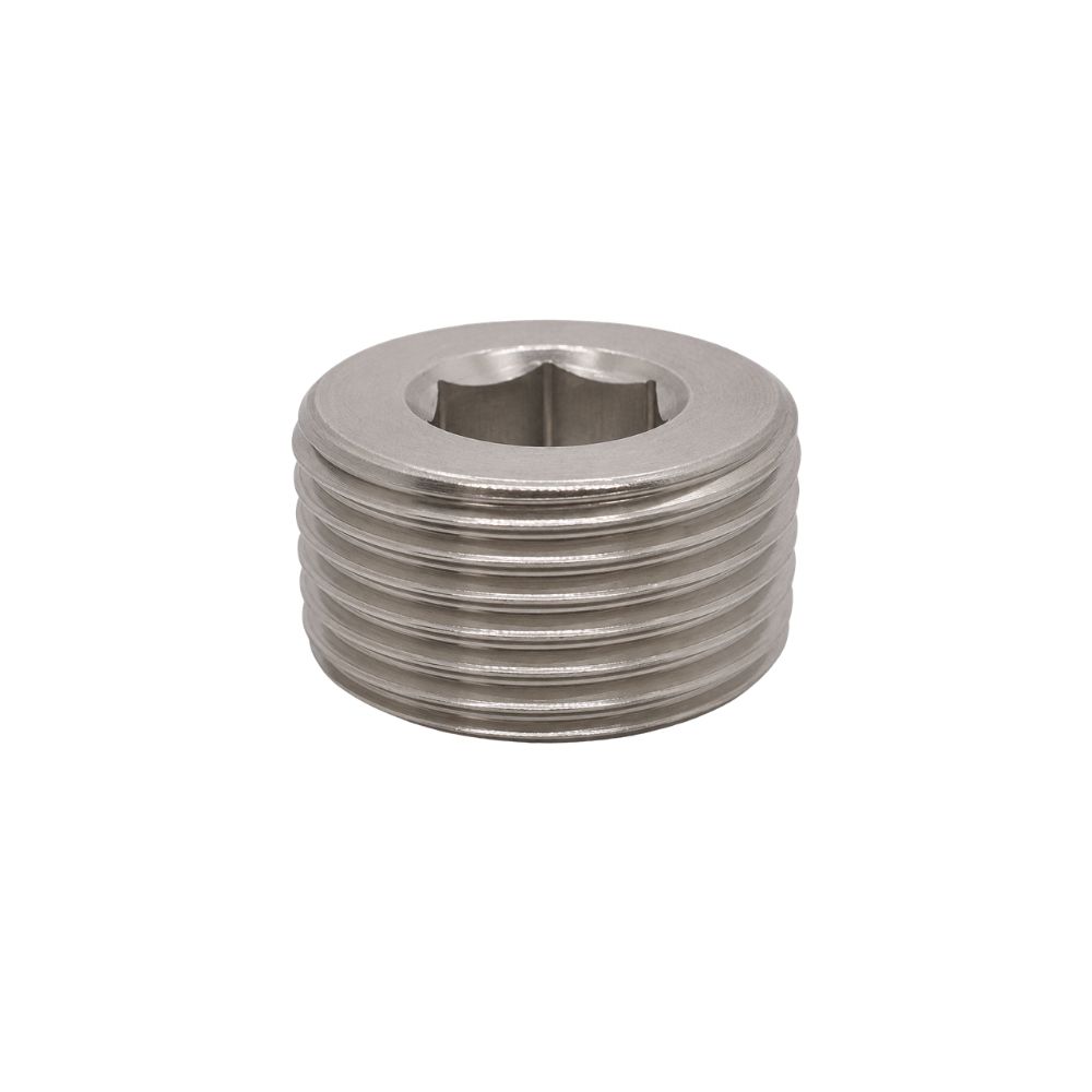 316 stainless BSP tapered male hex countersunk plug