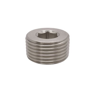 316 stainless BSP tapered male hex countersunk plug