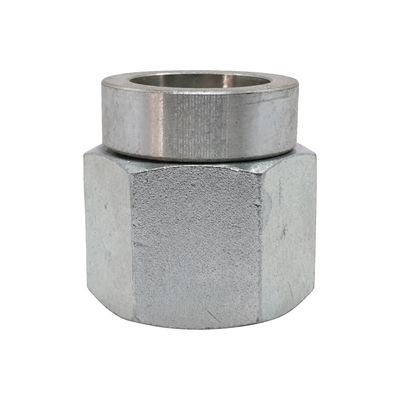 BSP Swivel Female x Tubeweld Female Straight BSP Swivel Female x Tubeweld Female Straight