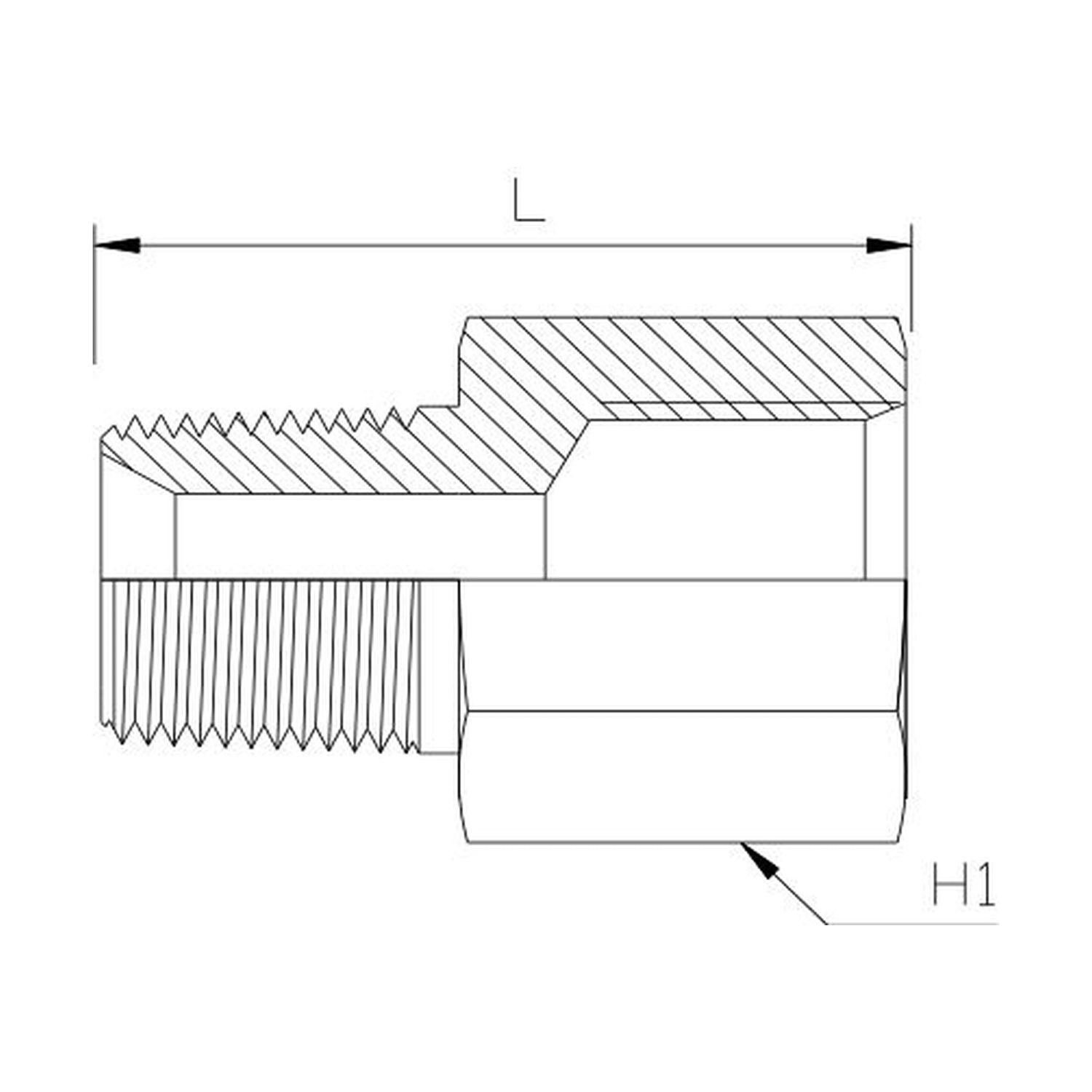BSP Tapered Male x UNO Female Straight, Size: Adaptor - (08) 1/2" BSP Tapered Male x (12) 3/4" UNO Female - Straight