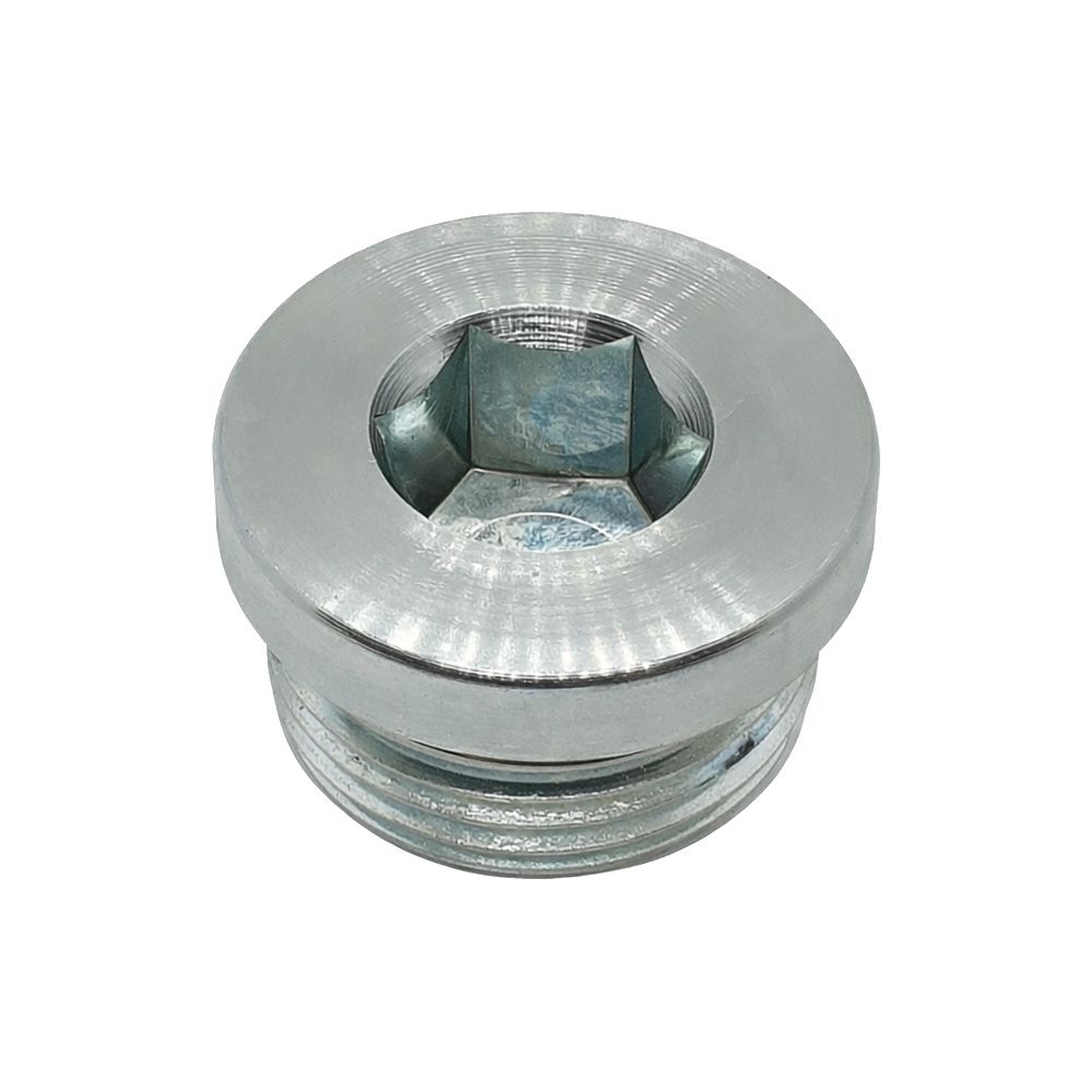 BSP Parallel Male Countersunk Plug