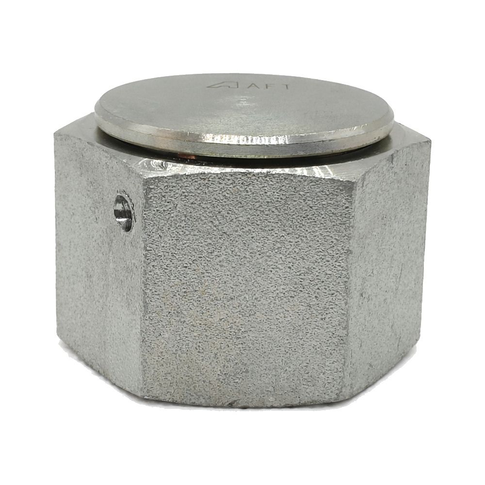 BSP Swivel Female Cap