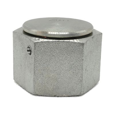 BSP Swivel Female Cap