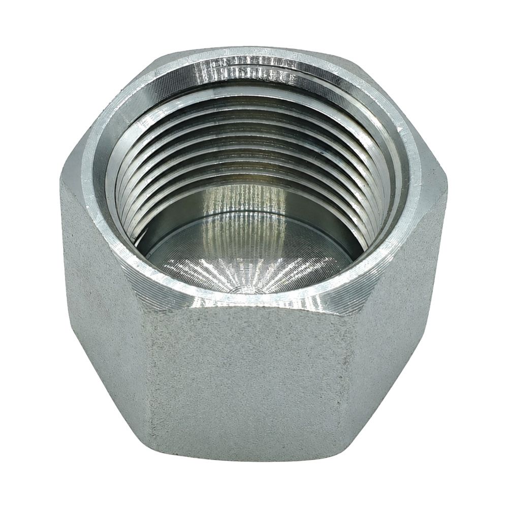 NPT Female Cap