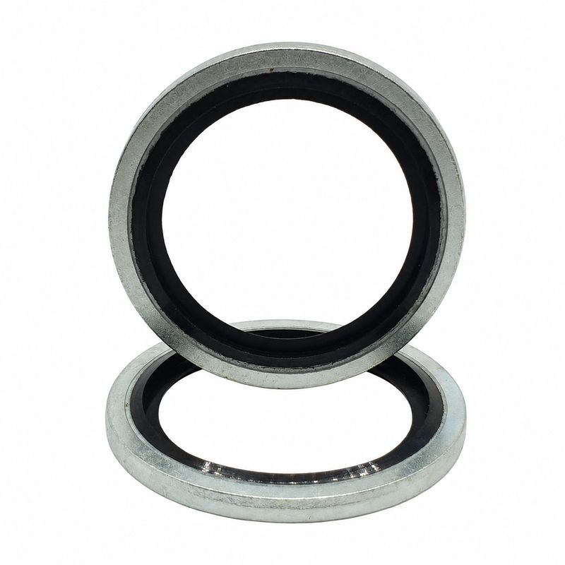 Dowty Bonded Seals BSP 1/8" to 2"