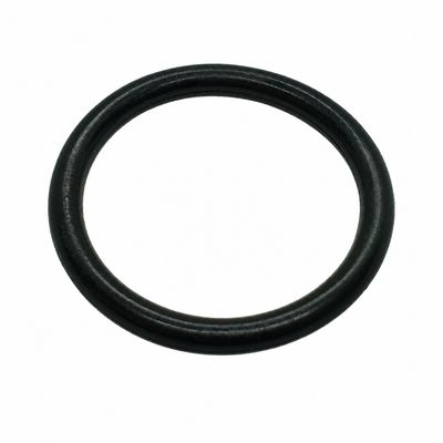 O-Rings BSPP 1/8" to 2"