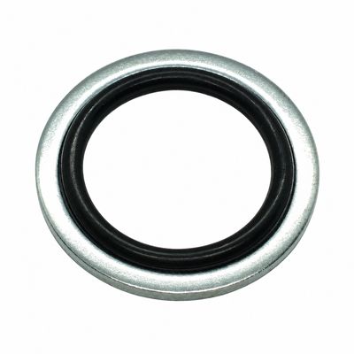 O-Ring Retaining Rings BSPP 1/8" to 2"