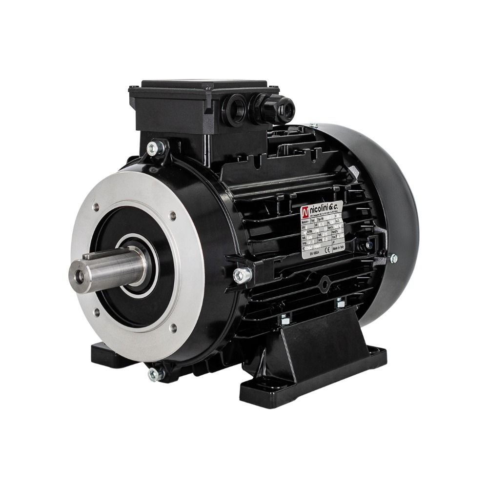 Electric Motor 4.0 kW - B3/B14 flange
