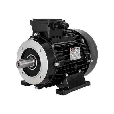 Electric Motor 4.0 kW - B3/B14 flange