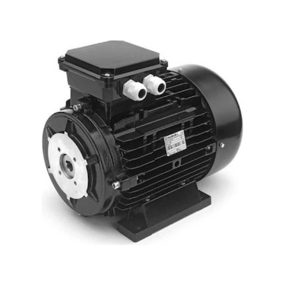Electric Motor 5.5 kW - Hollow shaft, 3 phase Electric Motor 5.5 kW - Hollow shaft, 3 phase
