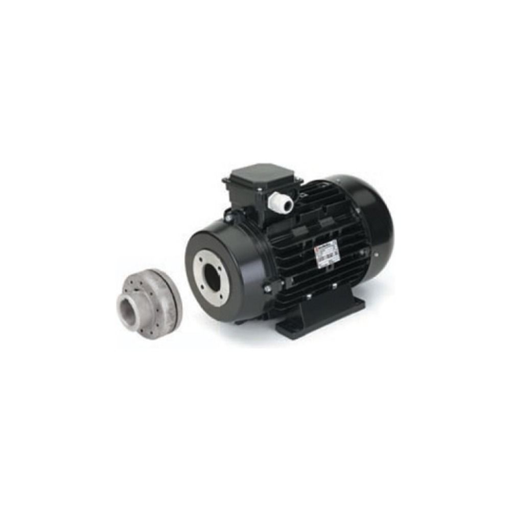 Electric Motor 5.5 kW - Elastic joint