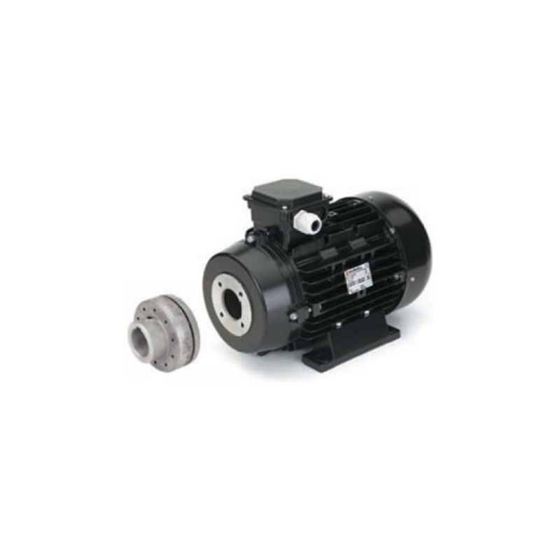 Electric Motor 5.5 kW - Elastic joint Electric Motor 5.5 kW - Elastic joint
