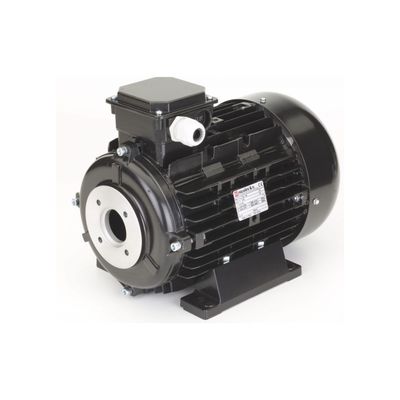 Electric Motor 11 kW - Hollow shaft
