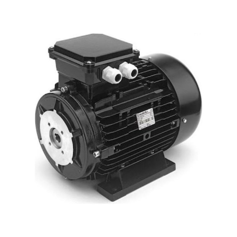 Electric Motor 2.2 kW - Hollow shaft Electric Motor 2.2 kW - Hollow shaft