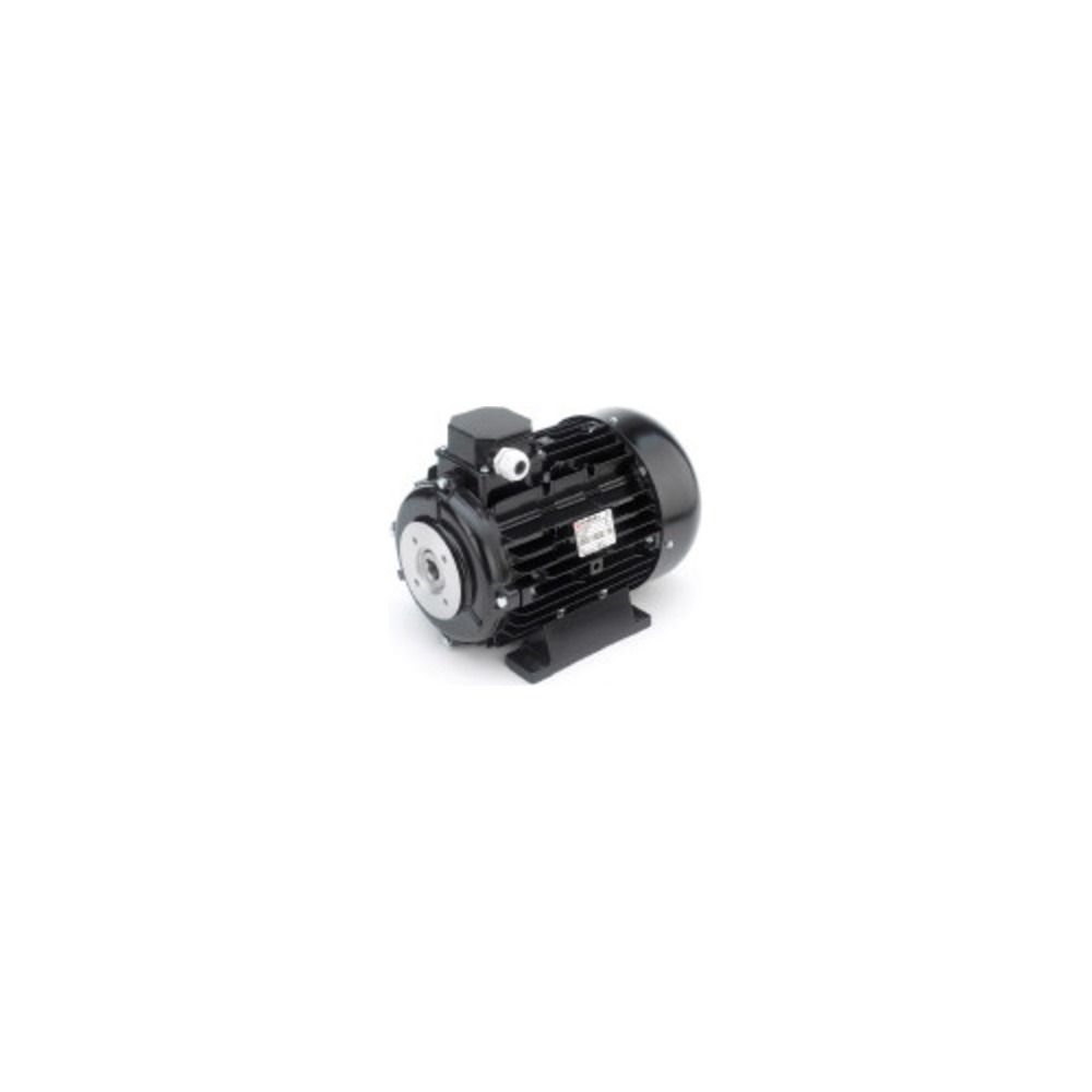 Electric Motor 2.2 kW - Hollow shaft, 3 phase Electric Motor 2.2 kW - Hollow shaft, 3 phase