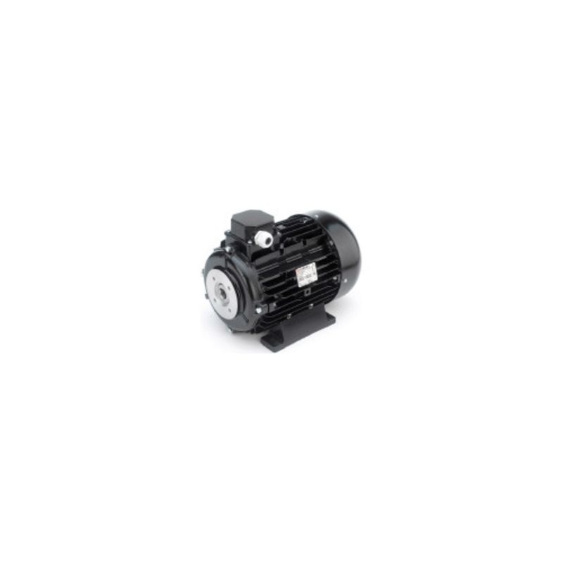 Electric Motor 2.2 kW - Hollow shaft, 3 phase Electric Motor 2.2 kW - Hollow shaft, 3 phase