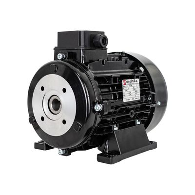 Electric Motor 4.0 kW - Hollow shaft