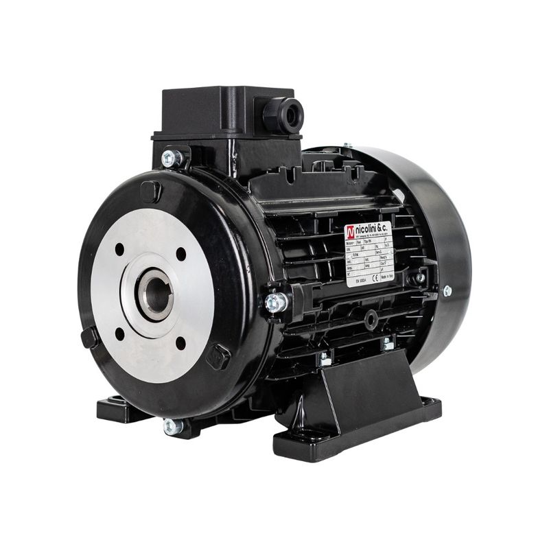 Electric Motor 4.0 kW - Hollow shaft Electric Motor 4.0 kW - Hollow shaft