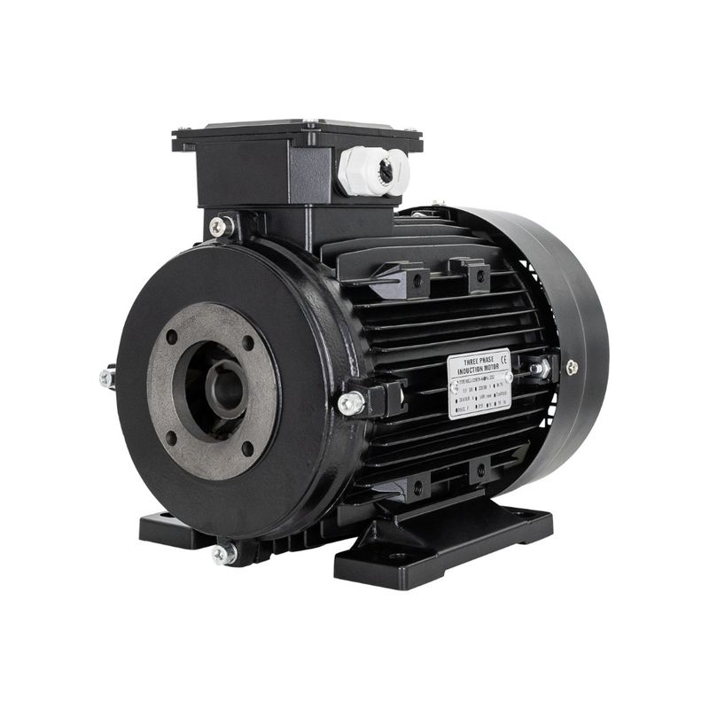 Electric Motor 5.5 kW - Hollow shaft Electric Motor 5.5 kW - Hollow shaft