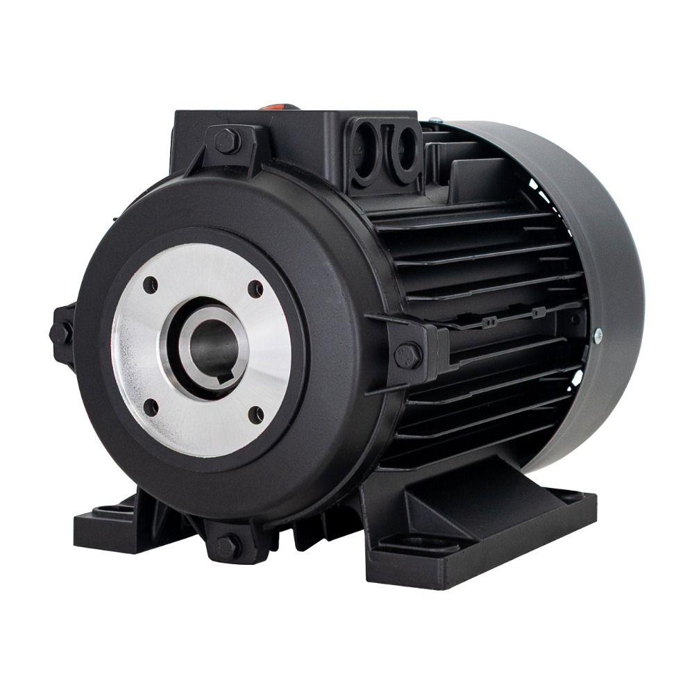 Pressure Cleaner Electric Motor