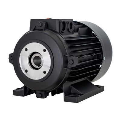 Pressure Cleaner Electric Motor