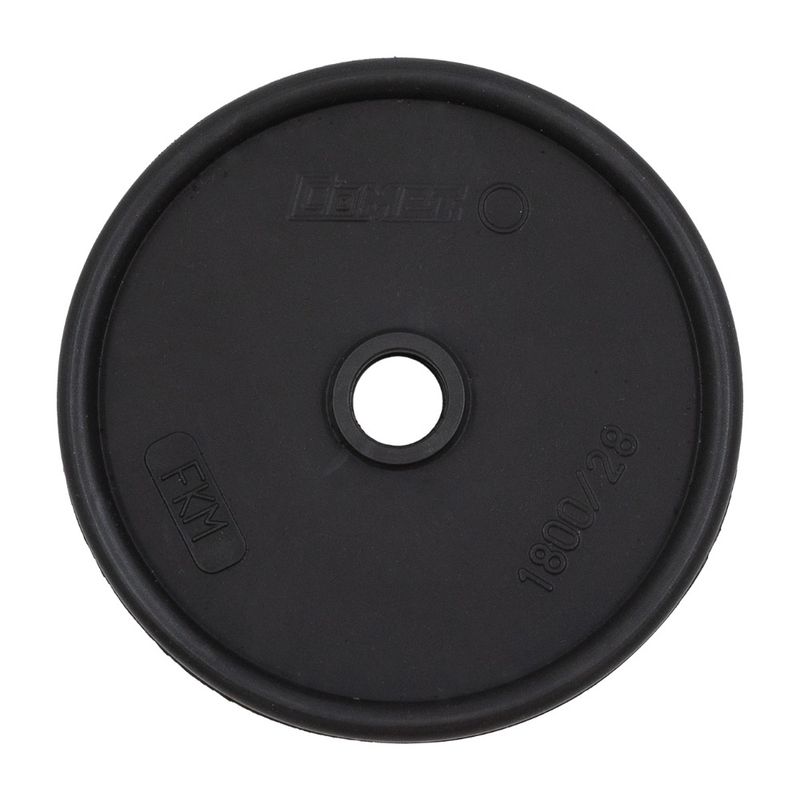 Viton Diaphragm Viton Diaphragm