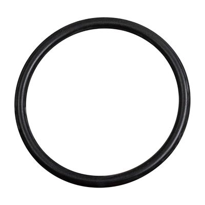O-ring, Pump Spacer
