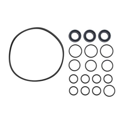 Oil Seal Kit