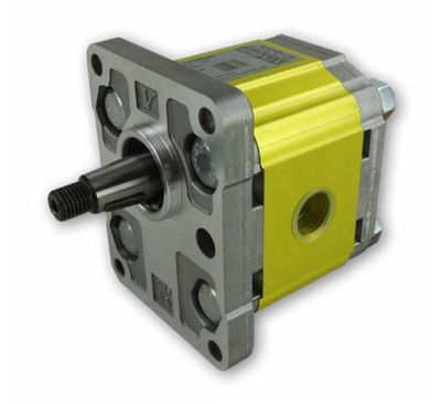 Professional Grade Italian Group 2 External Gear Pump with ø36.5mm DIN Flange and 1:8 Tapered Shaft.