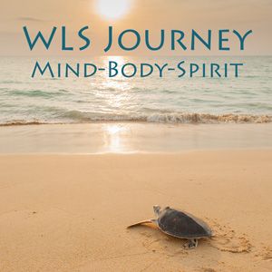 WLS Journey: Mind, Body Spirit